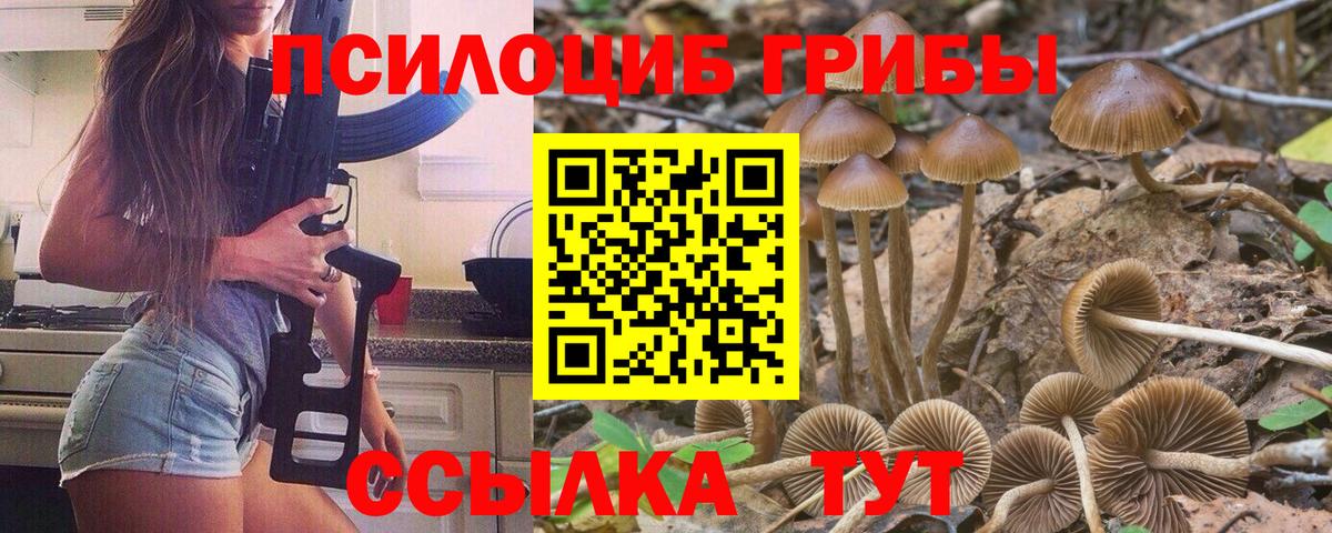 Псилоцибиновые грибы прущие грибы Беслан